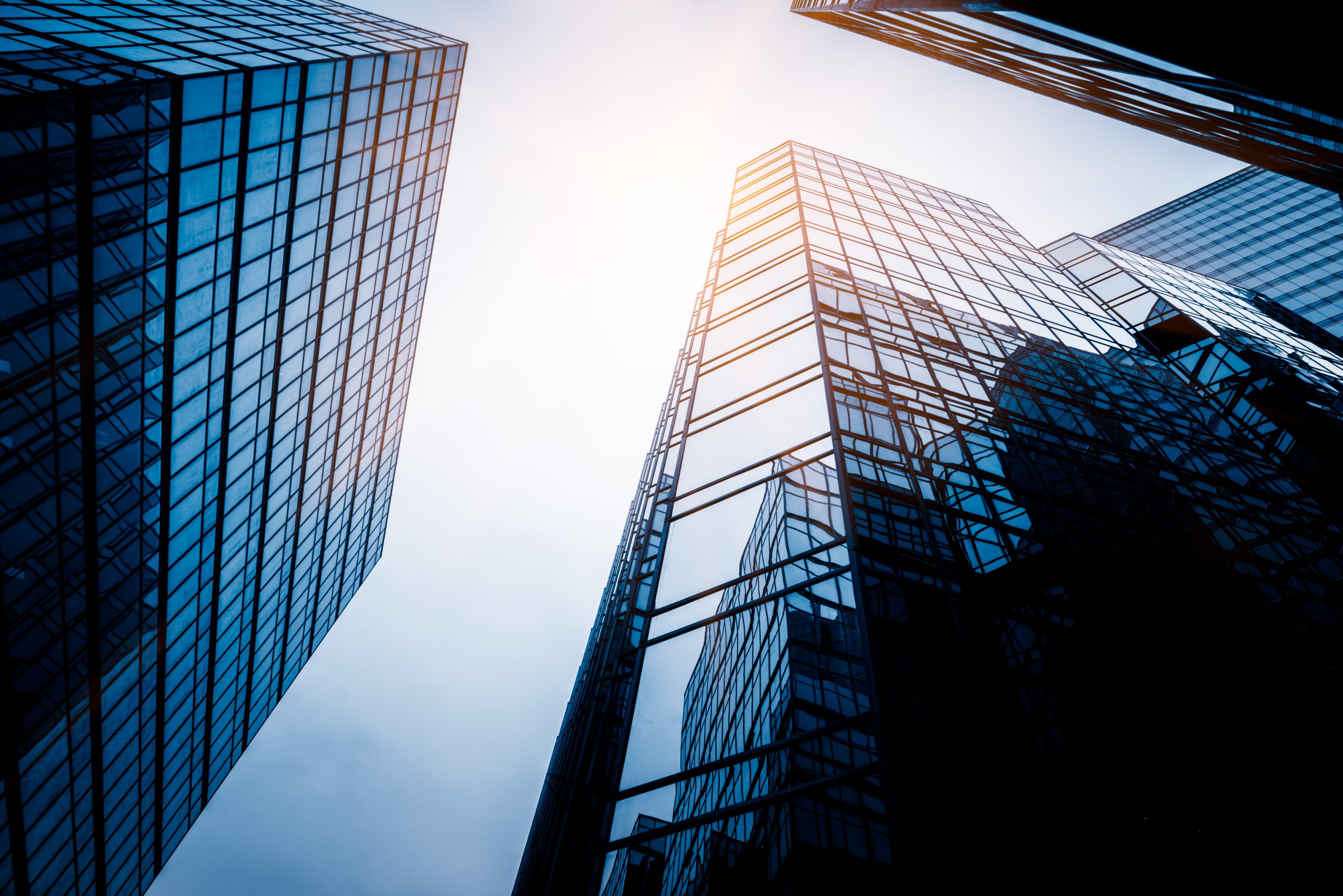 Corporate growth